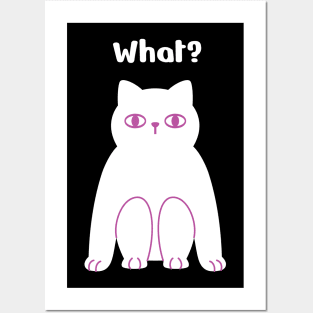 What? Poker Face Cat is Squatting? Posters and Art